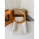 Louis Vuitton® CarryAll PM 
