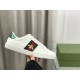 GUCCI  shoes  sneakers 